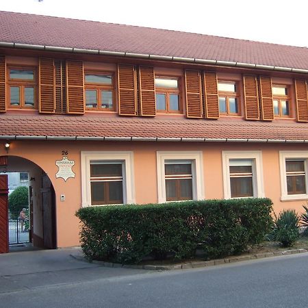 Timarhaz Panzio Bed & Breakfast Szeged Ngoại thất bức ảnh