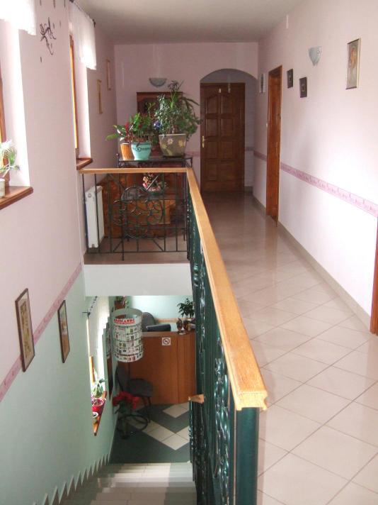 Timarhaz Panzio Bed & Breakfast Szeged Ngoại thất bức ảnh