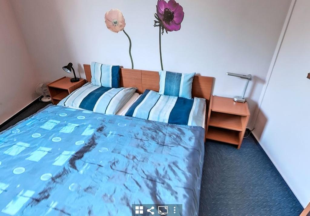 Timarhaz Panzio Bed & Breakfast Szeged Ngoại thất bức ảnh